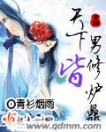 天下男修皆炉鼎epub