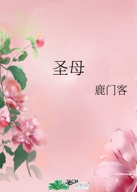 白莲花圣母婊是什么意思