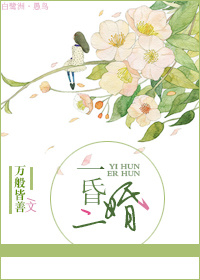 一婚与二婚的区别漫画