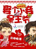 妃贼嫁到:娶个小妾是王爷免费阅读漫画