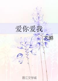 爱你爱我歌词的含义