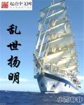 乱世明君周世宗pdf