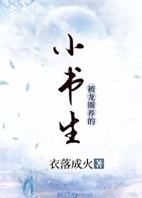 无敌小书生张