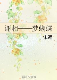 谢相——梦蝴蝶