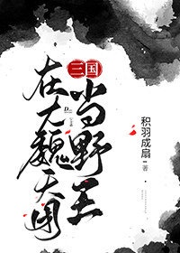 在大魏天团当野王26