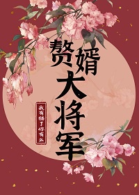 赘婿大将军