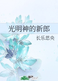 光明神是什么职业