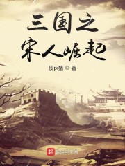 三国之宋人崛起免费阅读全文