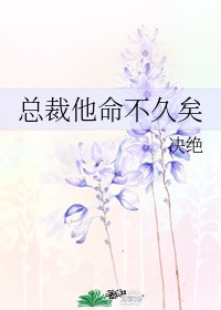 《总裁他命不久矣》 作者:决绝