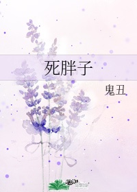 死胖子代表什么数字