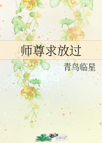 师尊求放过讲的什么