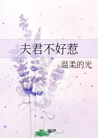 夫君摔断腿后在线阅读