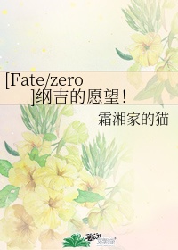 fatezero七个英灵