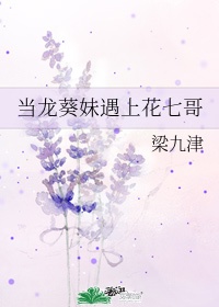 当龙葵妹遇上花七哥