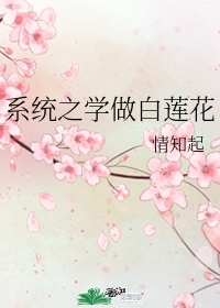 系统之白莲花黑化免费阅晋江