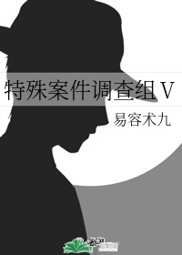 《特殊案件调查组vi》