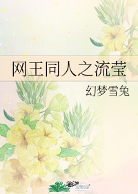 蓝正龙流星花园的角色