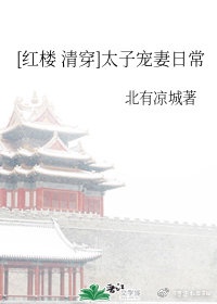 红楼十清穿太子宠妻日常全文免费