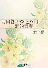 请回答1988什么洞