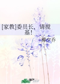 家教xanxus晋江