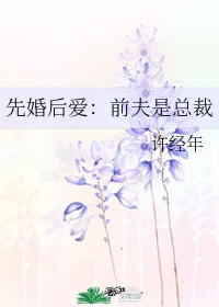 严浩翔先婚后爱文