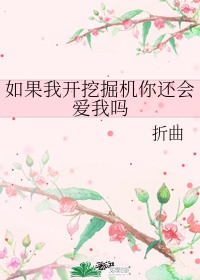 如果我开挖掘机你会爱我吗