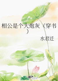 相公是个大炮灰(穿书)作者:水君迁