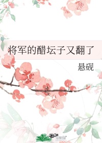 《将军的醋坛子又翻了》