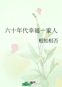 六十年代好幸福全文阅读