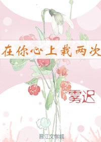 在你心上栽两次epub