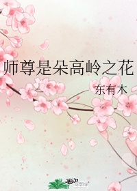 爆炒炉鼎大师兄_