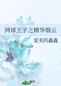 网球王子神级系统