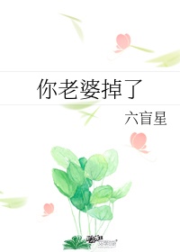 江教授的隐婚日常讲的是什么