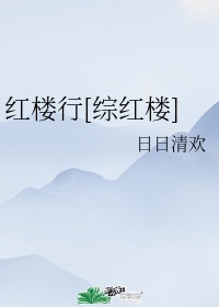 红楼天子无防盗