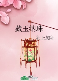 藏玉纳珠epub