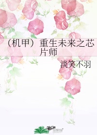 机甲重生未来之芯片师淡羽