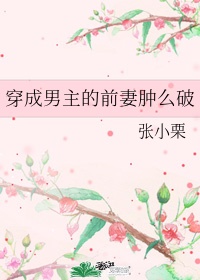 《穿成男主的前妻肿么破》