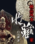 风水收藏大师排名